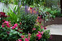 Colourful plants in containers including pelargoniums, agapanthus and salvia nemorosa. Change of level with brown painted low retaining walls with inset lighting. 