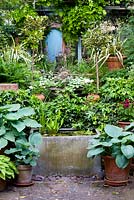 Small back garden with water tank  feature flanked by  Hosta Sieboldiana elegans in pots