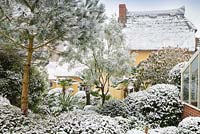 View of the house, trees and shrubs in snow, Dip on the Hill Garden, February
