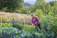 Katrin Schumann working her vegetable acre in the Bavarian Forest. Plants are broccoli, carrots, salads, sunflowers, Helianthus annus and Helianthus tuberosus 