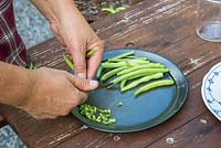 Removing the ends of French beans
