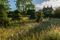 Wildflower meadow at Great Dixter