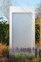 Camassia cusickki against a white panel water feature - The Low Line, RHS Malvern Spring Festival 2016