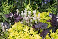 Tiarella 'Sugar and Spice' with Heuchera 'Lime Marmalade' and 'Frosted Violet', Hidden Gems of Worcestershire, RHS Malvern Spring Festival 2016