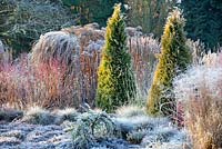 The Winter Garden in January, Bressingham Gardens, Norfolk, UK. Designed by Adrian Bloom.