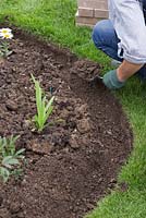 Scoop out the excess soil and place in the border as this will be needed later on