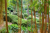 View through the Bamboo at Dip-on-the-Hill garden, Ousden, Newmarket, Suffolk. 