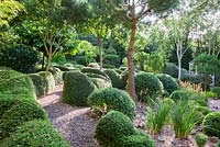 Buxus sempervirens and shaped Lonicera nitida at Dip on the Hill Garden, Suffolk.