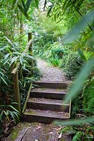 Wooden steps at Dip-on-the-Hill garden, Ousden, Newmarket, Suffolk.