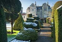 Topiary shapes in the Topiary garden at Levens Hall, Cumbria.