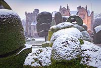 Topiary shapes with a covering of snow at Levens Hall and Garden, Cumbria, UK,