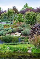 A selection of native Hebes and native shrubs and trees at Bhudevi Estate garden, Marlborough, New Zealand.