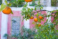 Upper terrace with orange trees and ancient sicilian and turkish tiles. Casa Cuseni in Taormina, Sicily, Italy