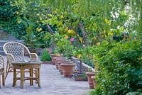 Patio with rattan chairs and terracotta containers with young citrus trees. Casa Cuseni in Taormina, Sicily, Italy
