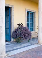 Terracotta and marble tiled terrace with blue doors and container planted with succulents. Casa Cuseni in Taormina, Sicily, Italy