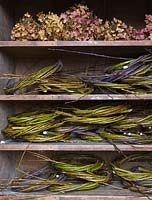 An old dresser houses stacks of willow wreaths awaiting decoration, together with heaps of dried hydrangea heads, all British grown.  Common Flower Farm, Somerset