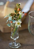 Sherry glass arrangement with all British grown stems - berried holly, ilex aquifolium, sprigs of rosehips and scilly isles scented tazetta narcissi. Common Flower Farm, Somerset