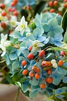 British grown hydrangea florets, scented scilly isle tazetta narcissi, hips. Common Flower Farm, Somerset