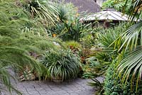 Subtropical garden with exotic planting.