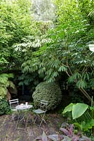 Subtropical garden with exotic planting. Shady seating area