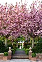 Mitton Manor Garden in spring, Staffordshire. Flowering Cherry trees framing David Harber obelisk in modern formal garden