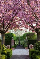 Mitton Manor Garden in spring, Staffordshire. Flowering Cherry trees framing David Harber obelisk in modern formal garden
