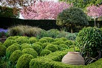 Mitton Manor Garden in spring, Staffordshire. 'Cloud' topiary Box spheres in formal parterre garden