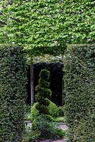 Mitton Manor Garden in spring, Staffordshire. Spiral topiary amongst clipped hedges in formal garden