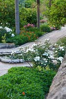 The arabic garden is underplanted with flowers which line the intricate tiled pathways. White Rosa 'Prosperity', pink Rosa 'Deborah' and nasturtiums. San Giuliano Estate. Sicily, Italy