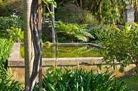 A raised reflecting pool created by Rachel Lamb in the arabic garden with surrounding vegetation. Agapanthus and tree fern - Cyathea australis. San Giuliano Estate. Sicily, Italy