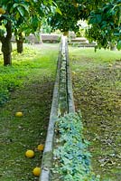 A long stone water rill penetrates the heart of the arabic garden, bringing much needed water to thirsty fruit trees. San Giuliano Estate. Sicily, Italy
