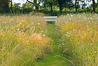 Path through wildflower meadow to wooden bench. 
