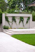 Garden wall featuring an inset with a zig zag wire pattern trellis and a white flowering Stephanotis floribunda growing on it stone inbuilt planter box with a small shrub Ruscus hypoglossum, 'Spineless Butcher's Broom', stone paving, steps and a Buffalo grass lawn.