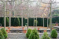 Pleached limes separate the Hildyard featuring 28 box cones in gravel at the front of the house from the Canal garden.