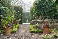 The Knot Garden, newly planted with Ilex crenata to replace diseased box plants, features standard Prunus lusitanica and herbs including Nepeta racemosa 'Walker's Low', sage and lavender.