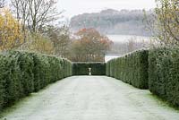 Stone urn acts as a focal point at the end of The Avenue, created with yew hedges. 