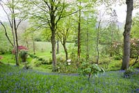 The Dell, a wooded valley of oaks underplanted with choice trees and shrubs that rise from a carpet of bluebells and starry white greater stitchwort.