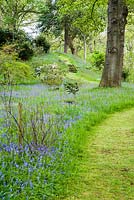 Carpets of bluebells and starry white greater stitchwort surround tall oaks and choice shrubs in the Dell.