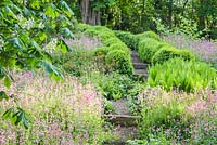 The shady dell garden is a matrix of planting including ferns, pink Silene dioica and orange euphorbia.