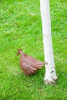 Steel hen sitting at the base of a white stemmed birch.
