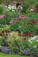 Chenies Manor summer garden - Dahlia, Sisyrinchium, Petunia, Tanacetum parthenium. Argyranthemum, Hydrangea, Rosa. Chenies Manor Gardens, Bucks, UK