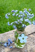 Mysotitis - Forget-me-nots in glass vase