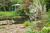 Waterlily Pond and gazebo, with Elaeagnus 'Quicksilver' on the right. Ellerker Manor, Ellerker, East Yorkshire.