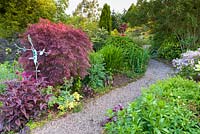A path lined with shrubs and herbaceous perennials winds through Mount Pleasant Gardens, Kelsall, Cheshire. Planting includes Acer palmatum, Persicaria microcephala 'Red Dragon',  Syringa meyeri and Geum 'Mrs Bradshaw'. 'Palibin'. June