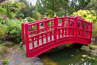A bridge spans an ornamental pond in the Japanese Garden at Mount Pleasant Gardens, Kelsall, Cheshire in June. Plants include Rhododendrons, Azaleas, ferns and Acer palmatums