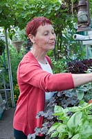 Maureen Sawyer, the owner of Southlands, NGS garden, Stretford Lancashire. 