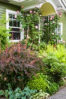 Front garden with mixed planting and a porch with Rosa 'Aloha', Berberis thunbergii 'Roseglow',  Buxus, Sedum, Abies,  Spiraea 'Ogon' 