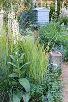 The Drought Garden, View of drought tolerant garden, RHS Hampton Court Flower Show. Wildlife-friendly planting. Gravel path leads to white-painted beehive. Plants include Verbascum 'Kynaston', Stipa gigantea, Nepeta x fassenii,  Stachys byzantina 'Big Ears' and Pennisetum villosum. 