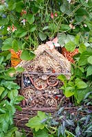 Vegetable Box, Growing to Eat, Eating to Grow, Detail of bug hotel in wicker basket, surrounded by runner beans growing from baked bean tins recycled from the school kitchen, courgettes and purple chilli peppers. RHS Hampton Court Flower Show in 2016
