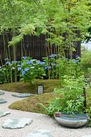 Detail of Japanese Summer Garden designd by Saori Imoto with gentle mounds covered with moss and planted with phylostachys bissetii, blue hydrangea macrophylla and serrata, iris ensata, acer palmatum and nandina domestica. Other features include a dark screen of artificial bamboo and a winding gravel path with granite stepping stones. Also featured are a japanese iron lantern and stone water bowl with bamboo spout and wooden ladle. Hampton Court Flower Show, July 2016.